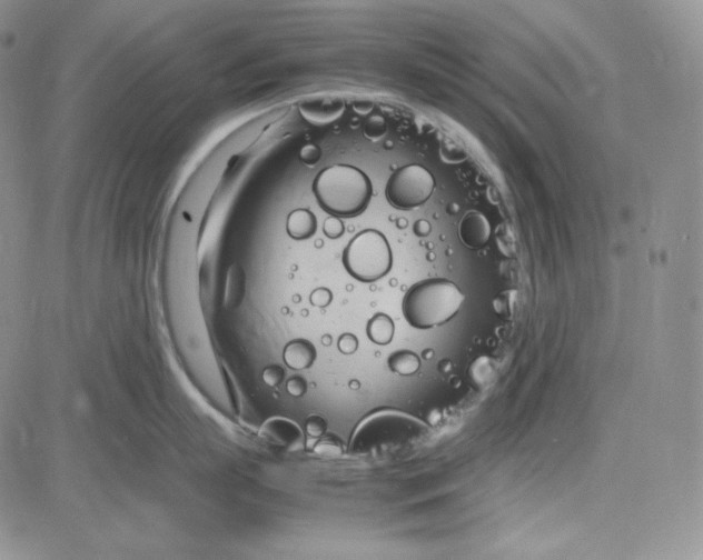 X0000083620863200702260952