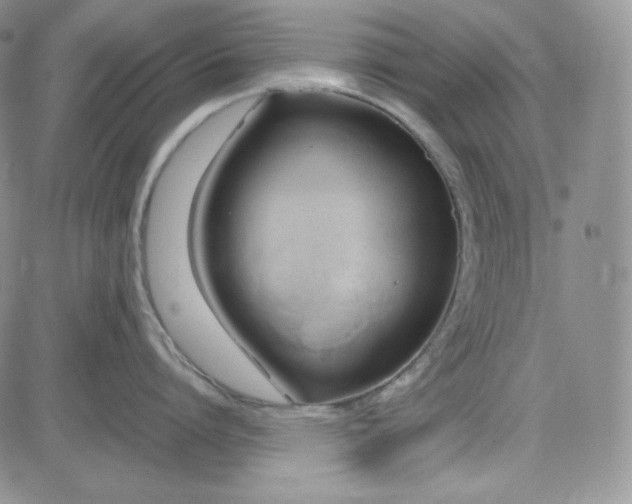 X0000083620864200702260952