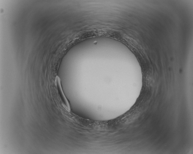 X0000083620865200702260951