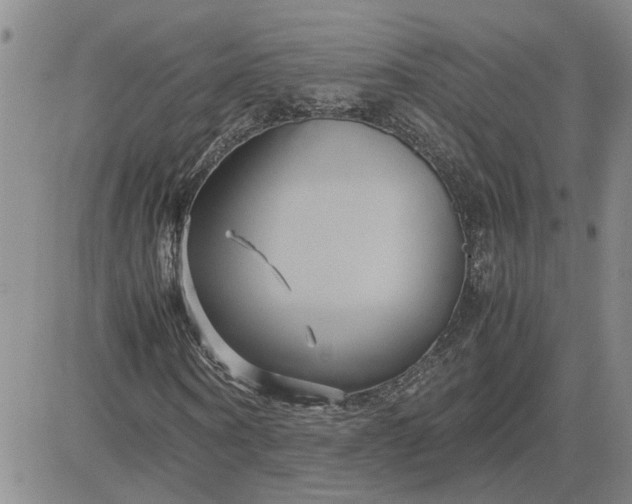 X0000083620866200702260951