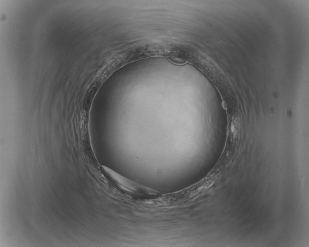 X0000083620867200702260951