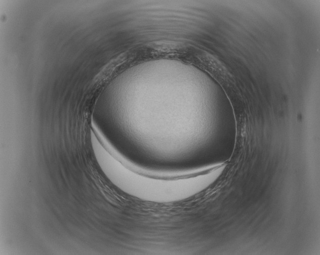 X0000083620868200702260951