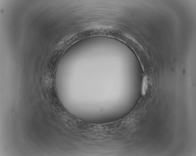 X0000083620869200702260951