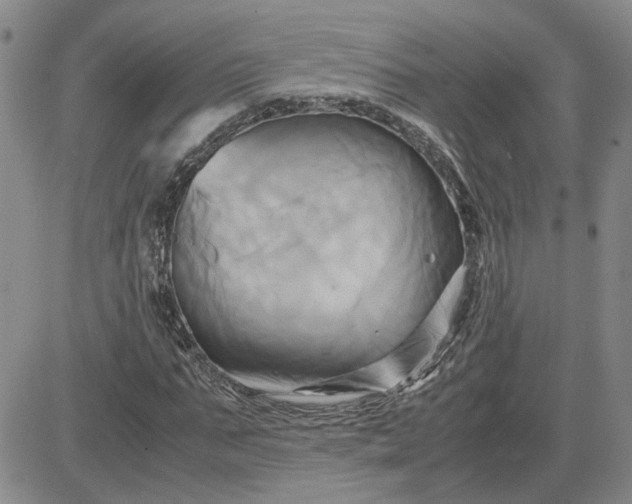 X0000083620871200702260951