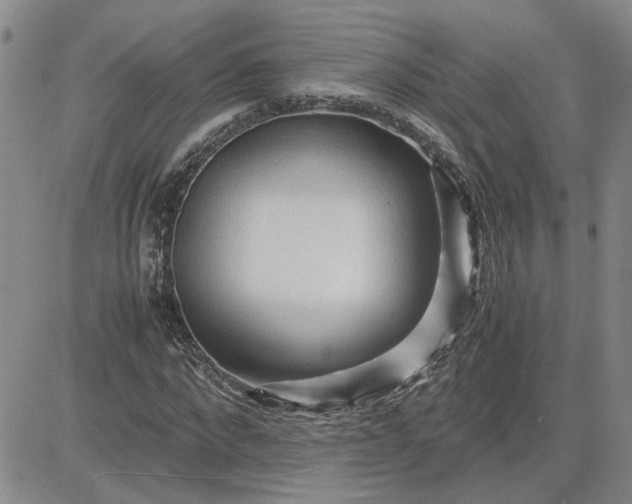 X0000083620872200702260951