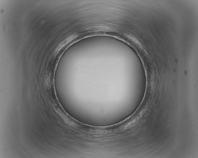 X0000083620873200702260951