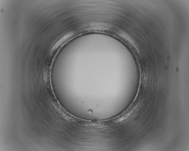 X0000083620874200702260951