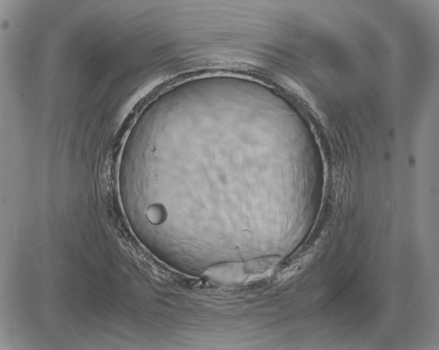 X0000083620875200702260951