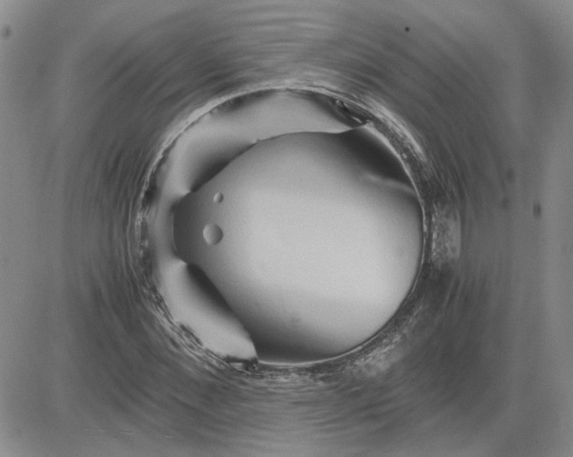 X0000083620876200702260951