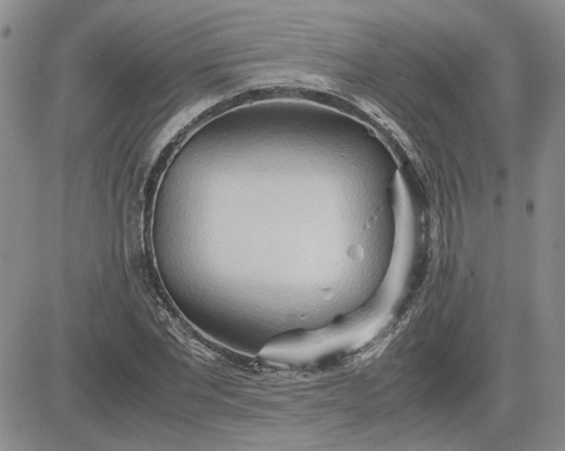 X0000083620877200702260951