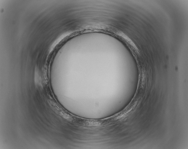 X0000083620878200702260951