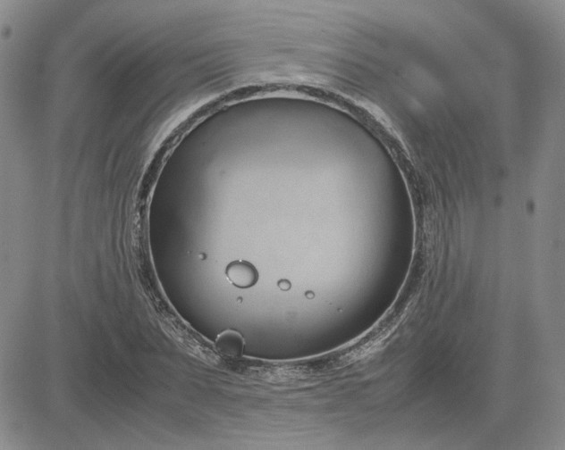 X0000083620879200702260951