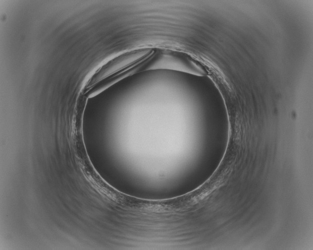 X0000083620880200702260951