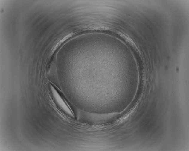 X0000083620881200702260951