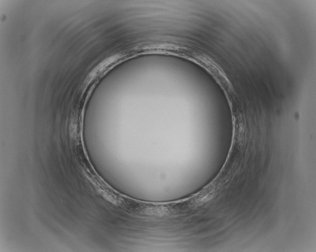 X0000083620882200702260951