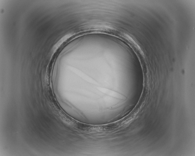 X0000083620883200702260951