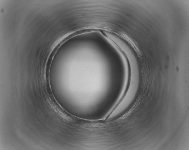 X0000083620884200702260950