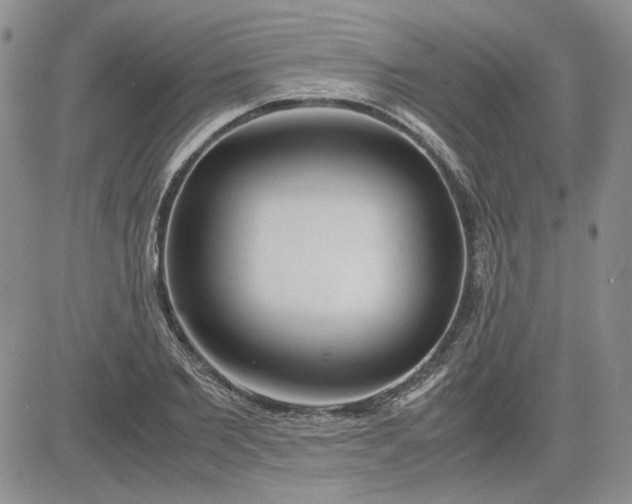 X0000083620885200702260950