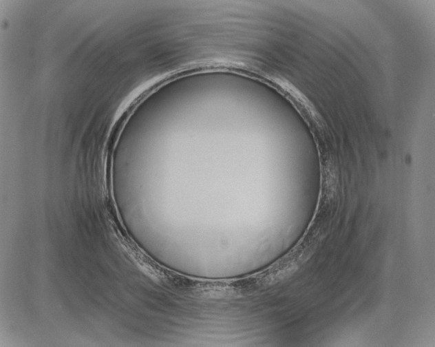 X0000083620886200702260950