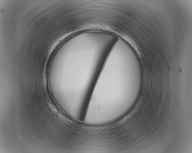 X0000083620888200702260950