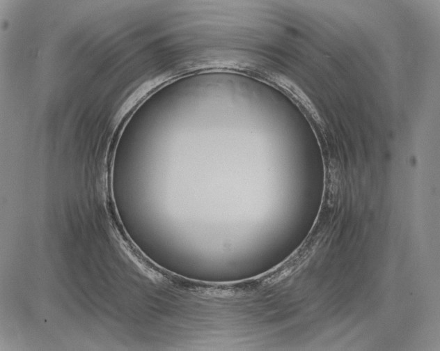 X0000083620890200702260950