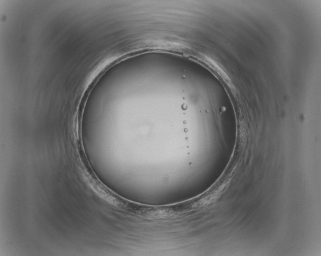 X0000083620891200702260950