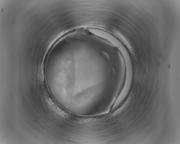 X0000083620892200702260950