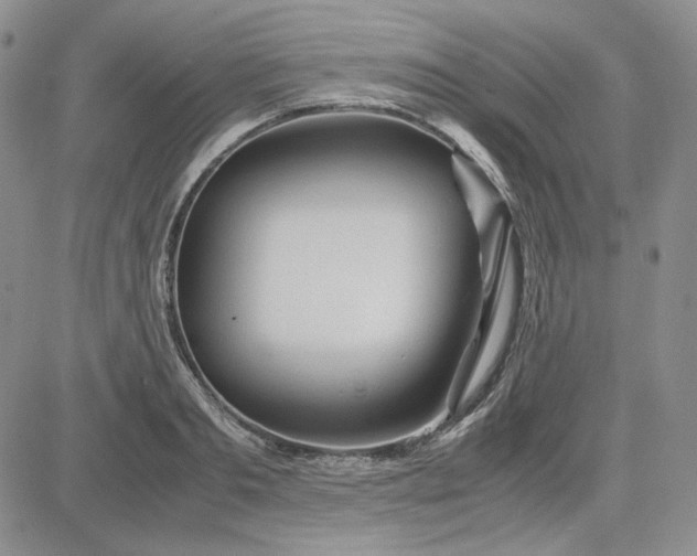 X0000083620893200702260950