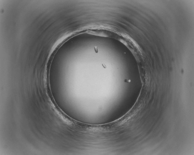 X0000083620894200702260950