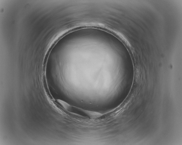 X0000083620895200702260950