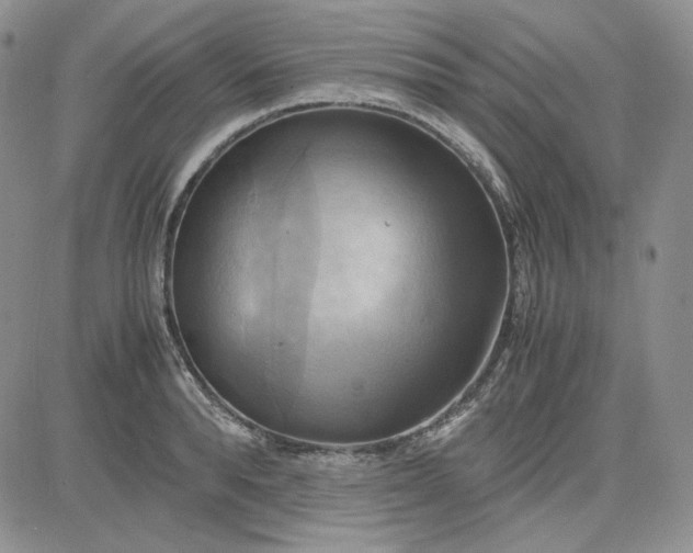 X0000083620896200702260950