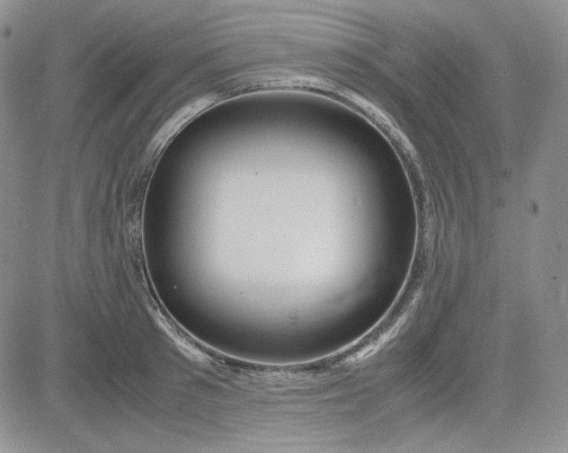 X0000083620897200702260950