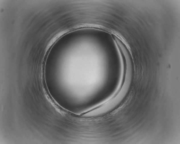 X0000083620898200702260950