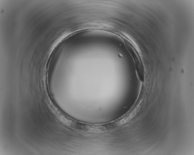 X0000083620899200702260950