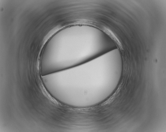 X0000083620900200702260950