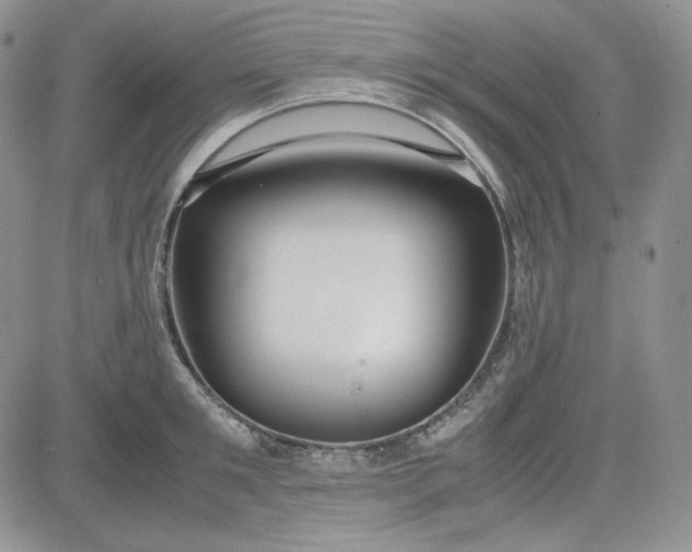 X0000083620901200702260950