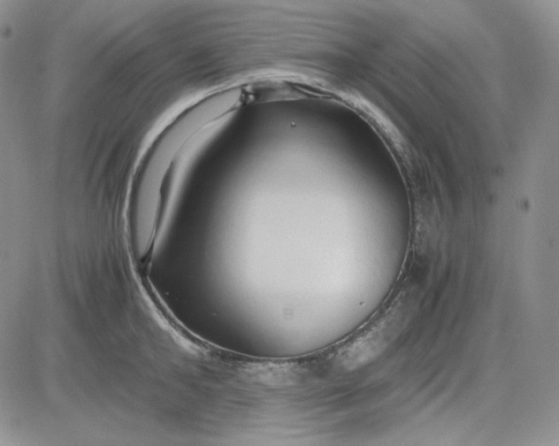 X0000083620902200702260950