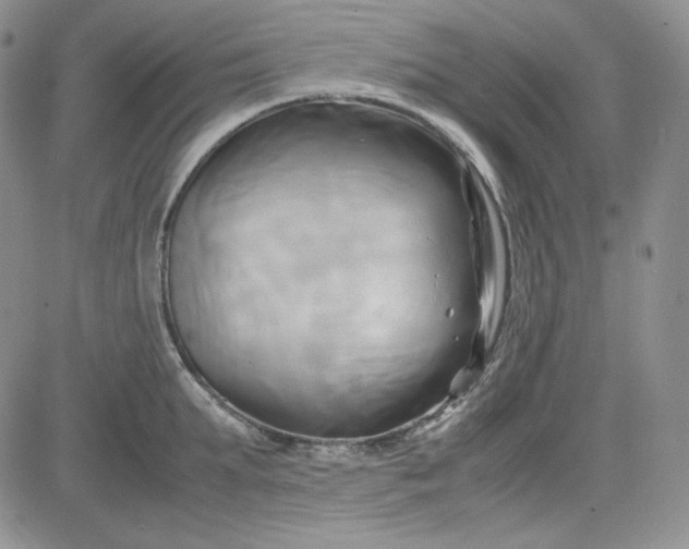 X0000083620903200702260950