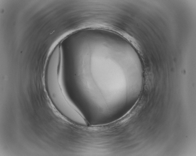 X0000083620904200702260950