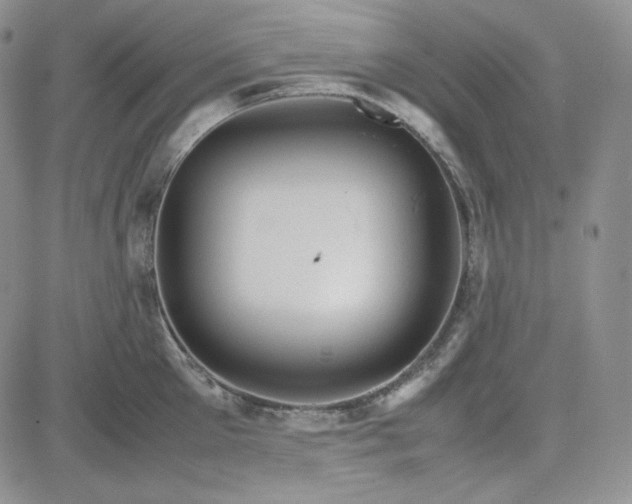 X0000083620905200702260950