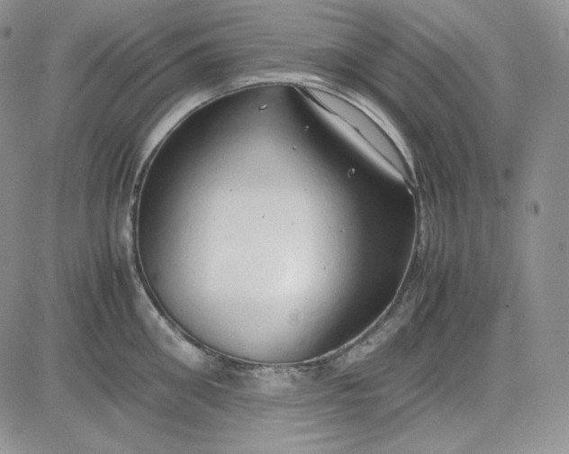 X0000083620906200702260950