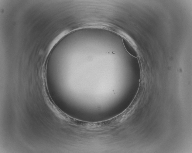 X0000083620907200702260950