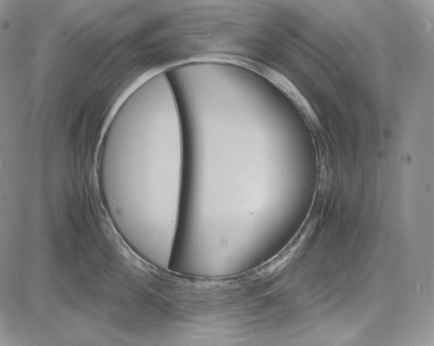 X0000083620908200702260950