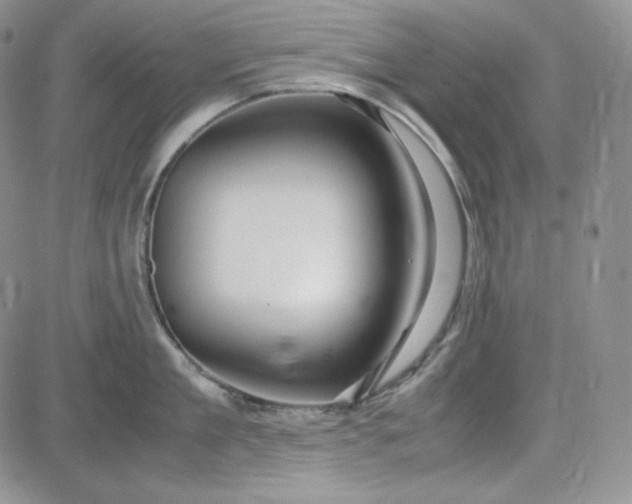 X0000083620909200702260950