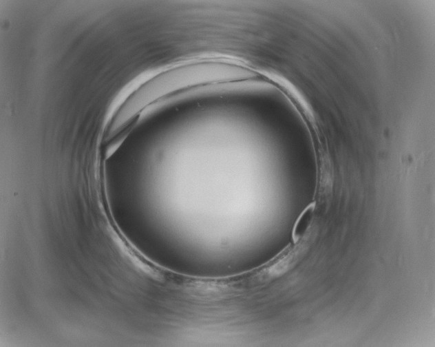 X0000083620910200702260950