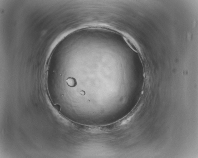 X0000083620911200702260950