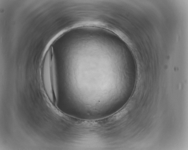 X0000083620912200702260950