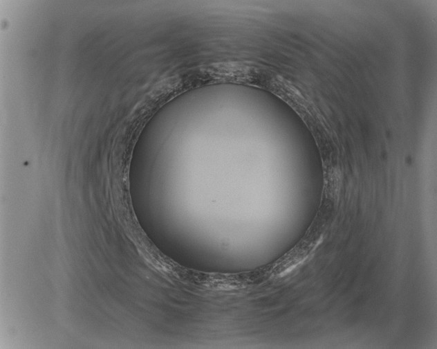 X0000083620913200702260949