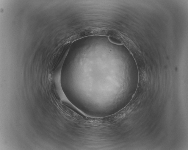 X0000083620914200702260949