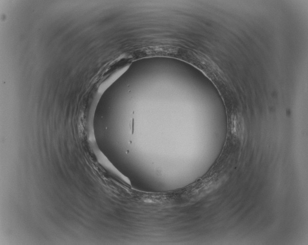 X0000083620915200702260949